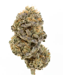 Fire OG AAA+