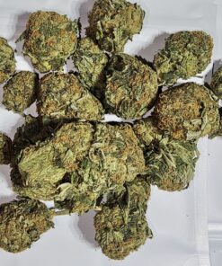 Comatose AA ($65 OZ)