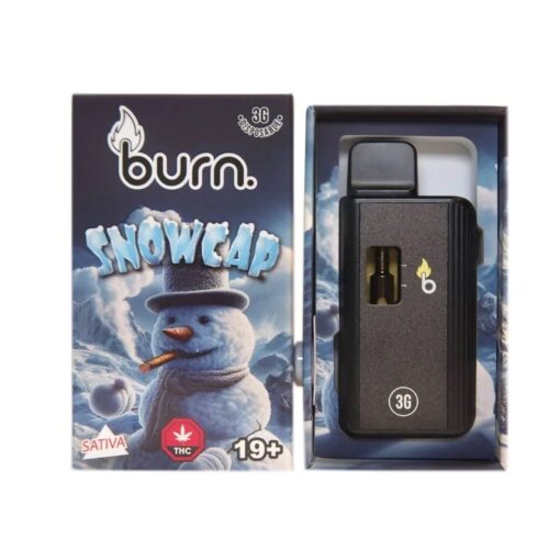 Burn 3G Disposable Pen - Snowcap (SATIVA)