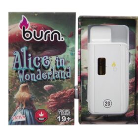 Burn – Alice in Wonderland (Sativa) – 2 g Disposable Vape