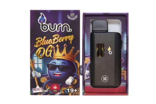 Burn – Blueberry OG - 3g Disposable Vape (Indica)