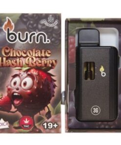 Burn – Chocolate HashBerry - 3g Disposable Vape (Indica)