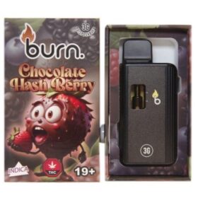 Burn – Chocolate HashBerry - 3g Disposable Vape (Indica)