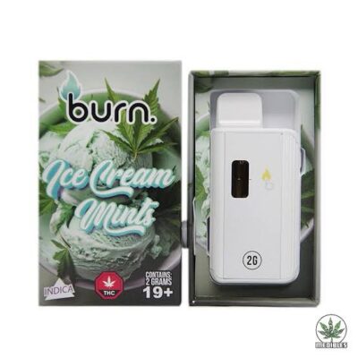 Burn Ice Cream Mint 2g Disposable Vape Indica