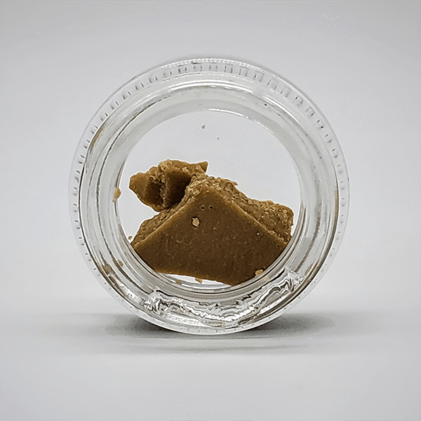House Budder
