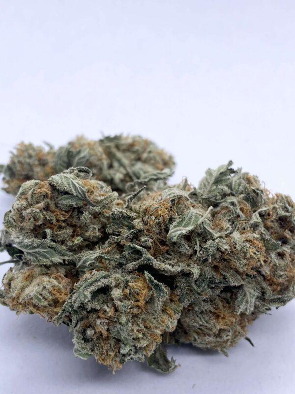 Bruce Banner