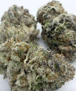 [EXOTIC} Cherry Punch