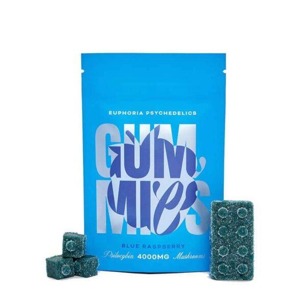 Euphoria Psychedelics - Blue Raspberry Gummy 4000mg