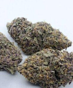 [EXOTIC} Ninja Fruit