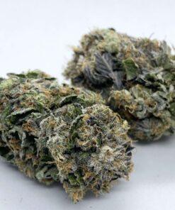 Bubba Kings - Bubba Bling