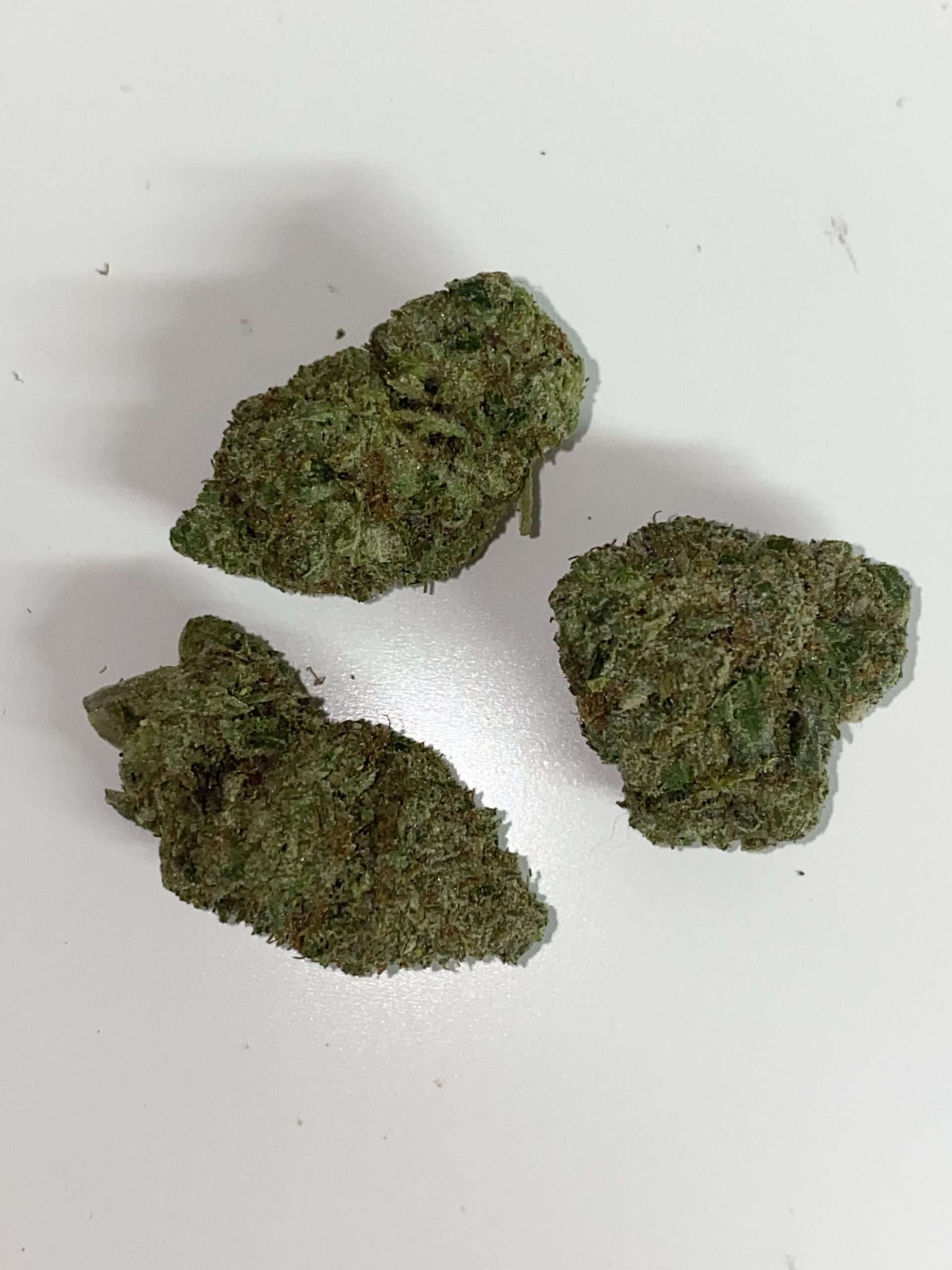 Miracle Alien Cookies THC:29%-35%