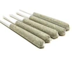 Pre Rolled Joint - 0.5g