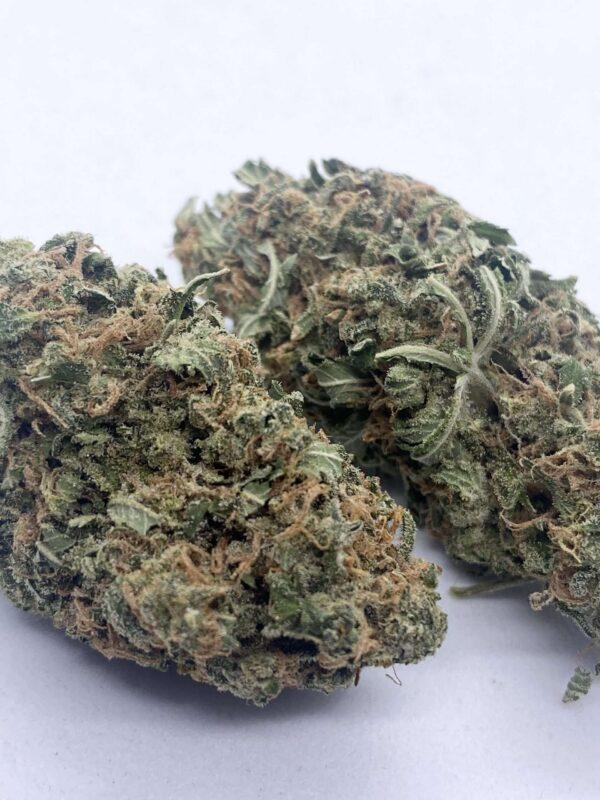 Blue Cheese