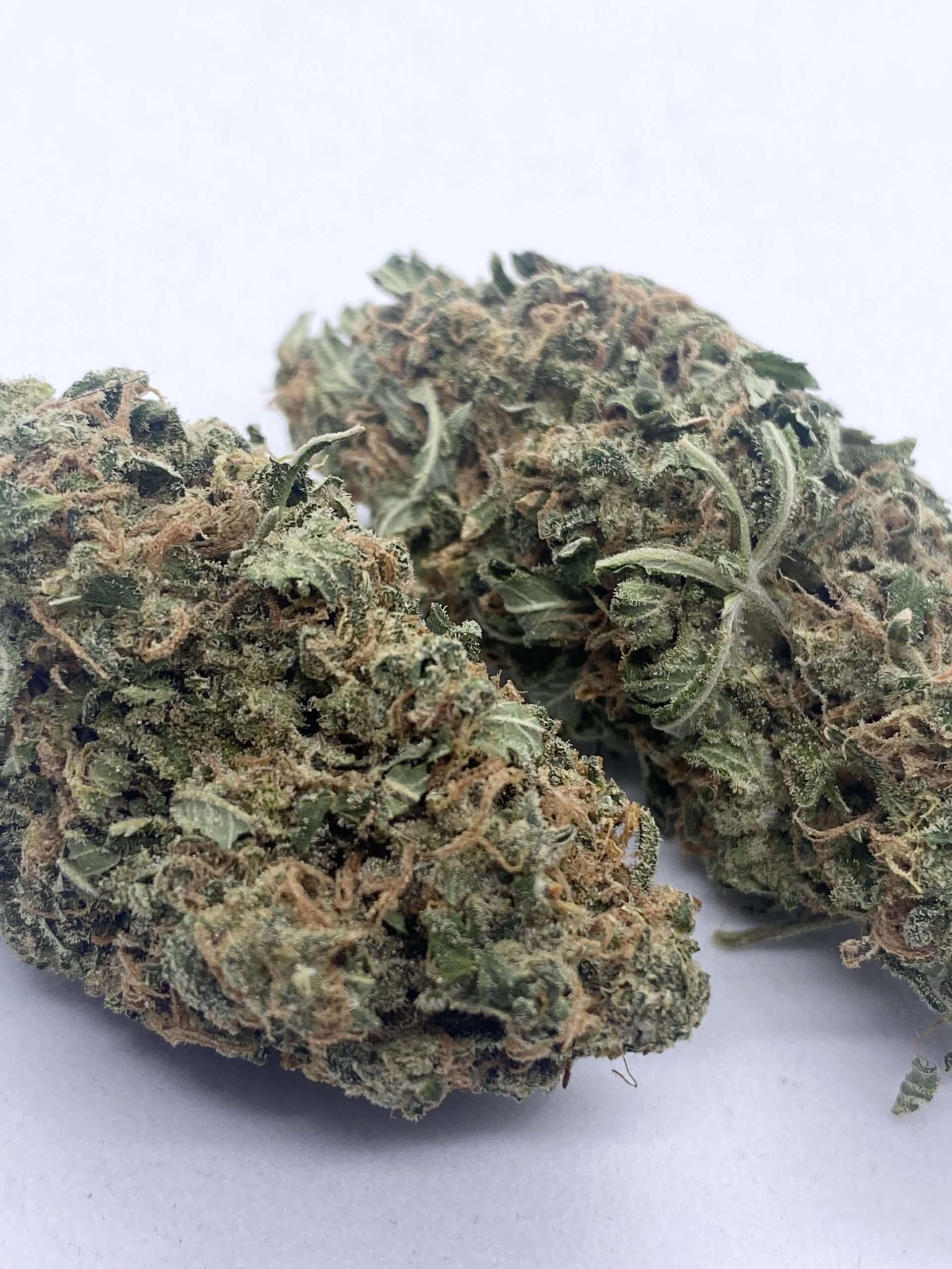 Blue Cheese