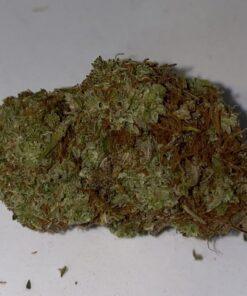 Close-up image of Lizard THC: 23%-30% bud. Premium quality, featuring vibrant green hues and rich textures. High-potency cannabis.