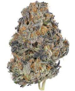 CincoPax - Pink Goo THC: 29%-35%