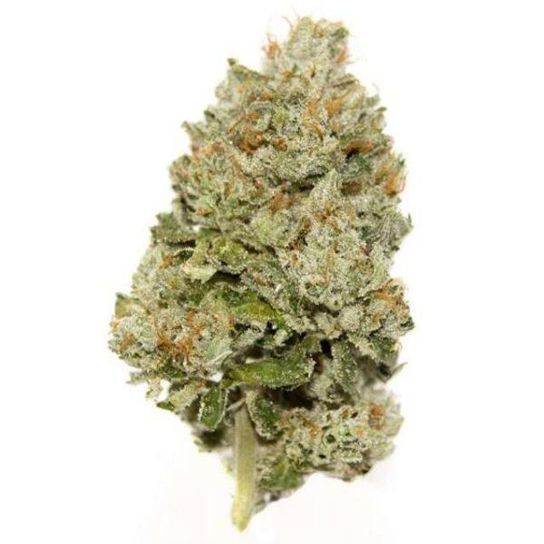 Purple Kush THC: 19%-25%