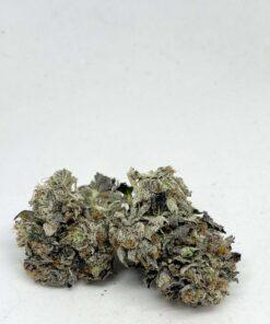 Bubba Kings - Flight 23 FRESH IN STOCK!