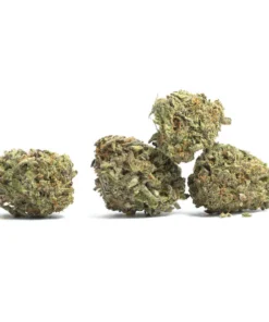 Sensei Skunk THC: 19%-25%