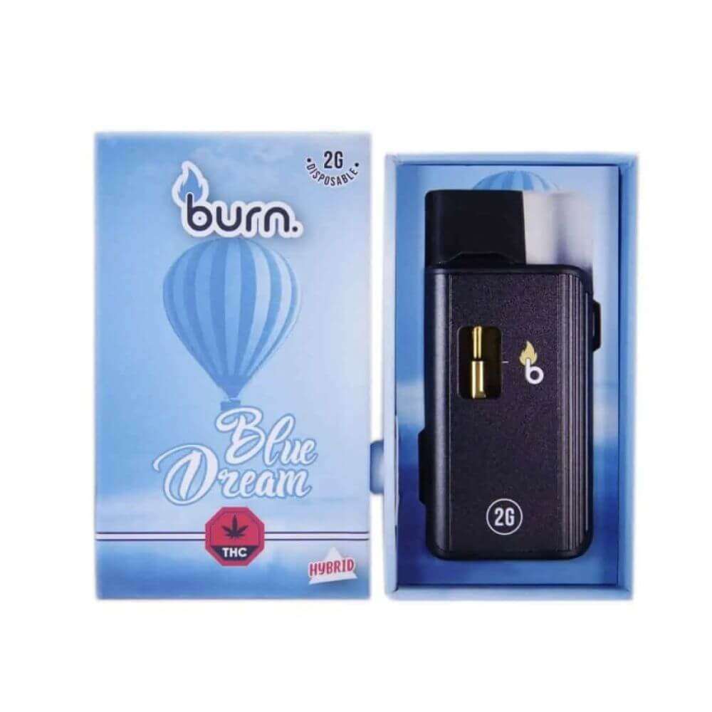 Burn 2G Disposable Pen - Blue Dream HYBRID