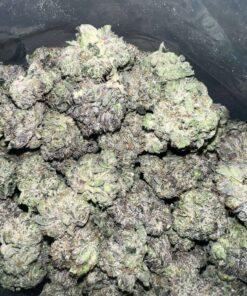 Bubba Kings - El Chapo (MEDIUMS) THC: 25%-31%