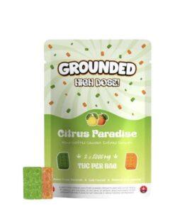 Grounded High Dose Bricks – Citrus Paradise 2000mg Gummies