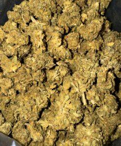 Jack Herer THC: 14%-16%