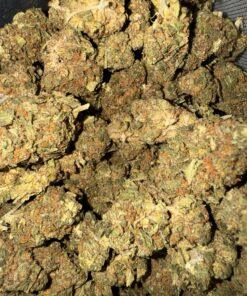 Motor Boat THC: 14%-16%