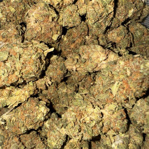 Motor Boat THC: 14%-16%