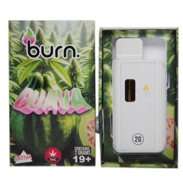 Burn – Guava – 2G Disposable Pen (Sativa)