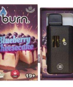 Burn – Blueberry Cheesecake - 3g Disposable Vape (Hybrid)