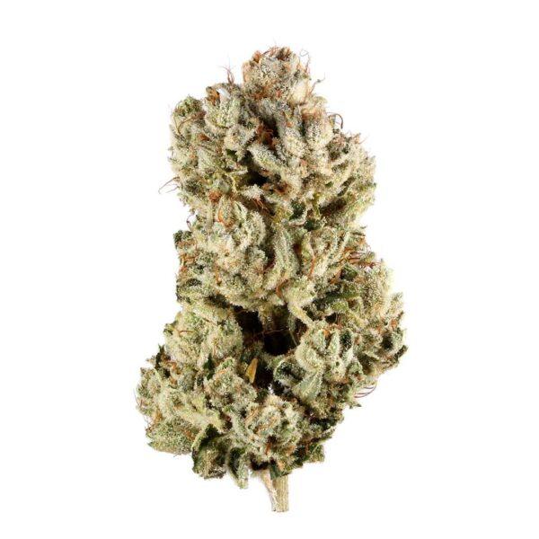 Pink Panties THC: 23%-30%
