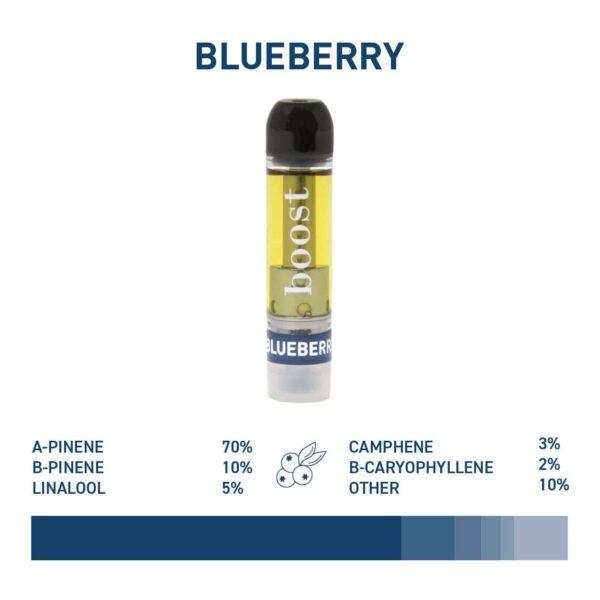 Boost Distillate Cart - Blueberry 1G