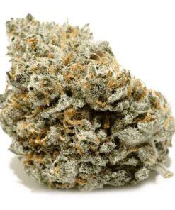 Grandaddy Purple THC: 23%-30%