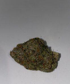 Close-up of Pinetar Indica, a premium cannabis flower with THC content between 23% and 30%. Explore the potent and aromatic profile of this high-quality Indica strain.