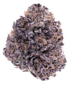 Black Pearl THC: 17%-23%