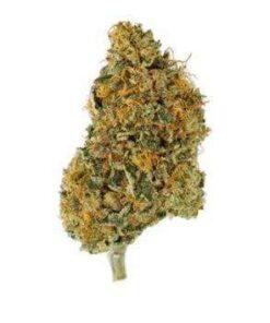 Pink Rockstar THC: 23%-30%