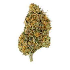 Pink Rockstar THC: 23%-30%