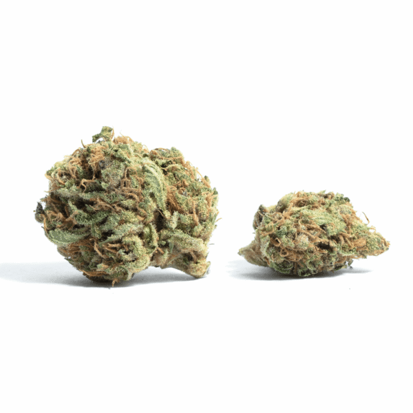 Blackberry Cream THC: 19%-25%