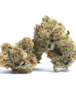 French Cookies THC: 23%-30%