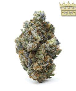 Close-up of a premium cannabis flower, Bubba Kings - Kings Candy. Showcasing the quality and appearance of this strain from Bubba Kings.