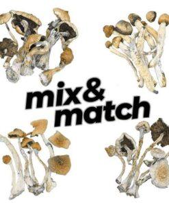 Mix and Match Mushrooms - 2 Oz Deal