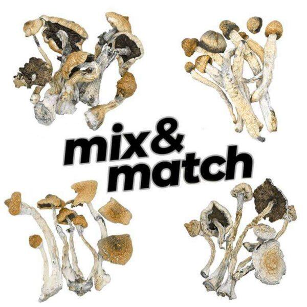 Mix and Match Mushrooms - 2 Oz Deal