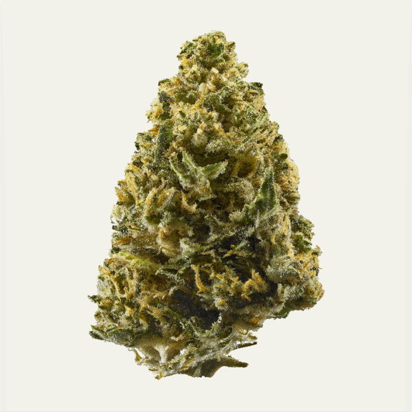 Northern Lights THC: 23%-30%