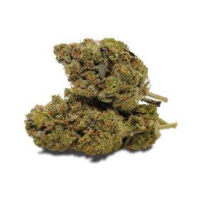 Fatso THC: 19%-25%