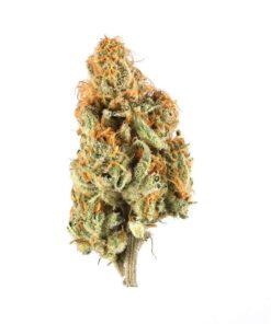 [EXOTIC} Alaskan Thunder Fuck THC: 28%-33%