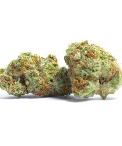 Papaya THC: 23%-30%