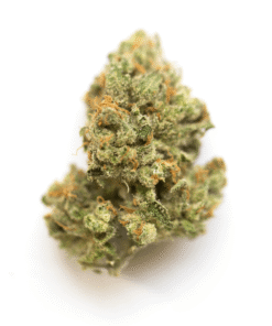 Pitbull THC: 19%-25%
