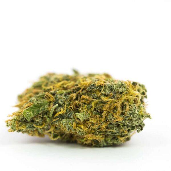 Super Lemon Haze THC: 17%-23%