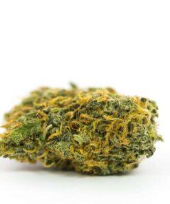 Super Lemon Haze THC: 17%-23%